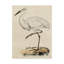 « antique héron iii », reproduction d’impression sur toile tendue-33521952