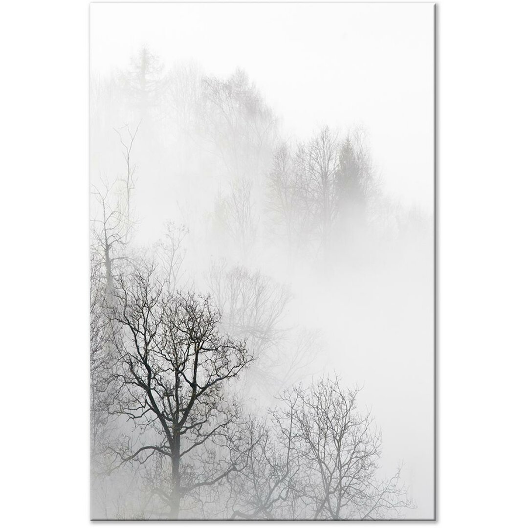 Leinwandbild Bäume im Nebel