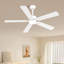 Ventilateurs de plafond noirs de 52 pouces avec lumières à DEL et télécommande / application, intensité variable 3CCT, moteur à courant continu réversible, silencieux, 5 ventilateurs de plafond à double face pour la chambre à coucher, intérieur / extérieur couvert-117580823-117580824