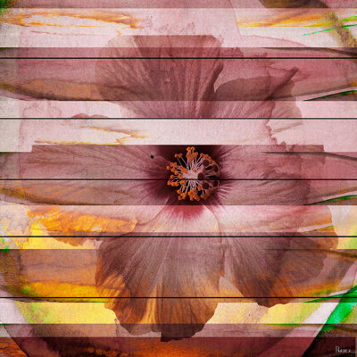 Parvez Taj - Wrapped Canvas Print