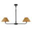 2 - Light Linear Chandelier-1873413897