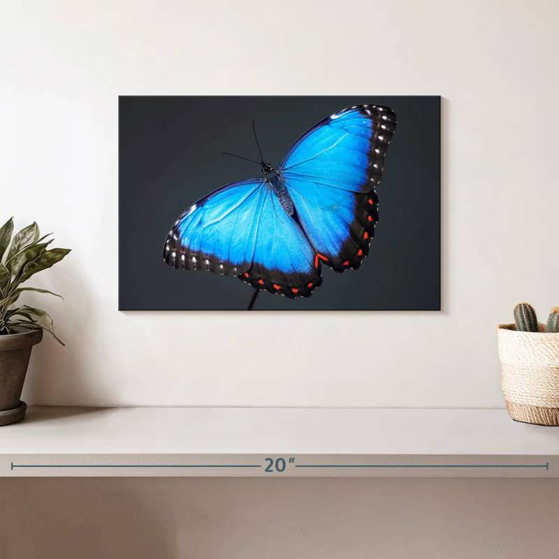 Morpho Blue Butterfly, 8" H x 12" W