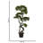Panama 37 " H Faux Bonsai Tree in Plastic Pot Liner