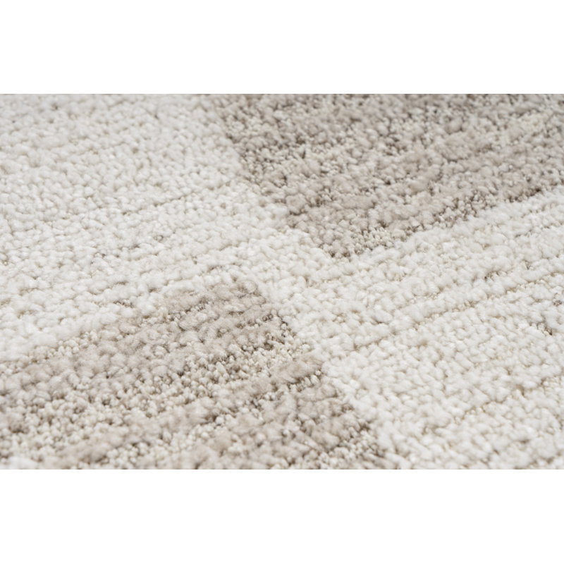 Daniesha Vintage Look Area Rug, Rectangle 80 x 150cm