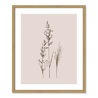 Delicate Stems I by Carol Robinson - Single Picture Frame Print -  Birch Lane™, 37AC65B7BB1B4FD4BE49639E18159081