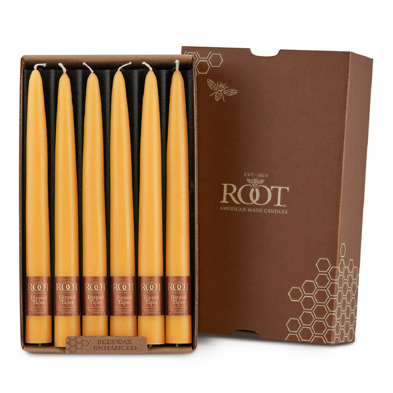 Ensemble de 12 chandelles coniques non parfumées 12 pièces, H 9 po x l 0,88 po x P 0,88 po, Caramel écossais