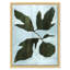 Conadria, Atreano, Kadota, and Brunswick Print by Susan Hable Soicher Marin