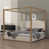 Beige/Gold