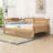 Wood Daybed with Trundle-332952248-332952247