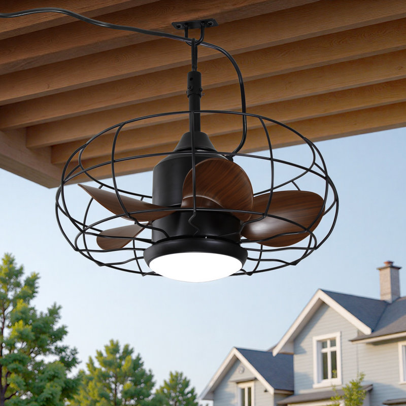 Ventilateur de plafond à cage 20 po avec lumière, ventilateur suspendu étanche à l'eau Ip44 avec télécommande