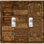 Rustic Canery Letter Brown Nature Themed 2 - Gang Toggle Light Switch Standard Wall Plate