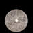 Stellar Thread Pendant-2139611290