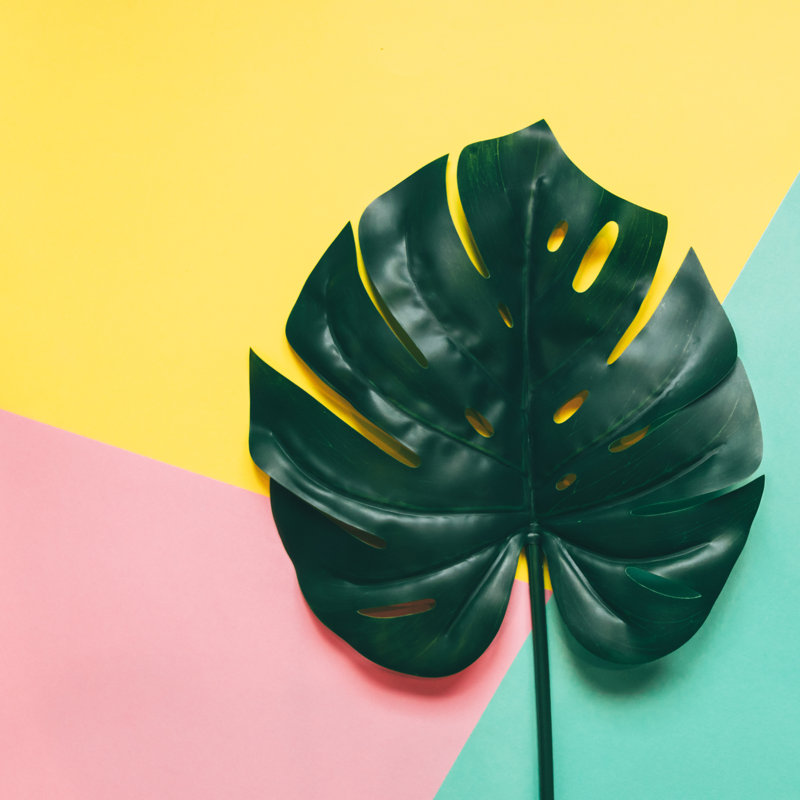 Northcrest Green Leaf by Katya_Havok - Wrapped Canvas Print, 51cm H x 51cm W 3.8cm D