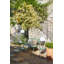 Cocotte Outdoor Round Side Table-90294611-87600688