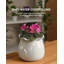 Planter-756915668
