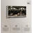 Art Remedy Retro Photography Canvas, Luxe of the Jungle King-111215801-111215810