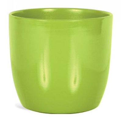 Jardinière citron vert citron