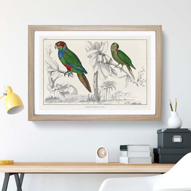 Parrots by Oliver Goldsmith - Framed Print, 48cm H x 65cm W x 2cm D, Oak Framed