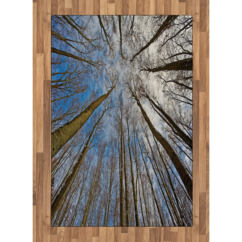 Scenery High Density Long Fiber Poly Threads Decorative Area Rug Carpet, Rectangle 4' x 5'8"