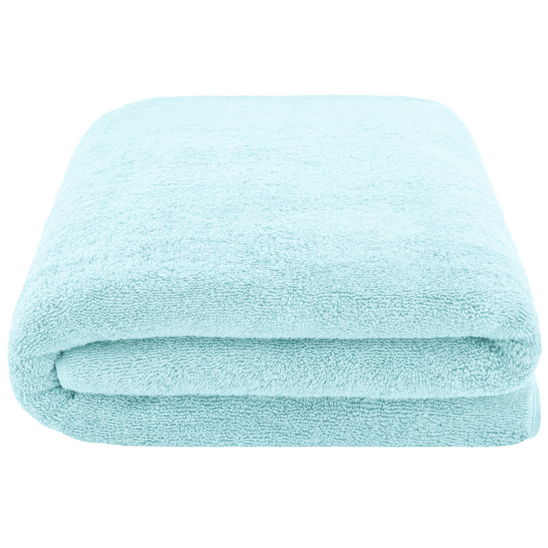 Darcelle 100% Cotton 40 x 80 Oversized Bath Towel Sheet, Duck Egg