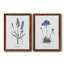 Lavande - ensemble de 2 reproductions d'impressions-484035731-484035946-467967545
