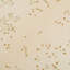 Moneta 10m x 53cm Semi-Gloss Wallpaper Roll-272561527