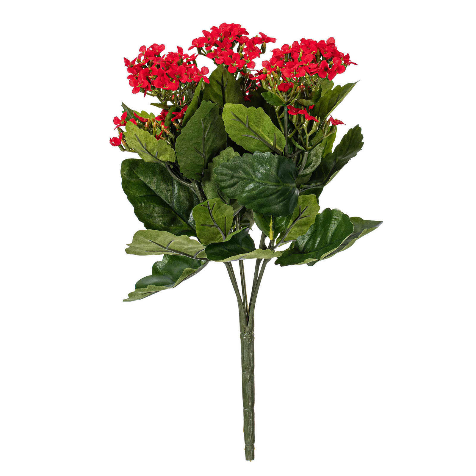 Kalanchoe Stem, 17.25" H x 8" W x 8" D, Red