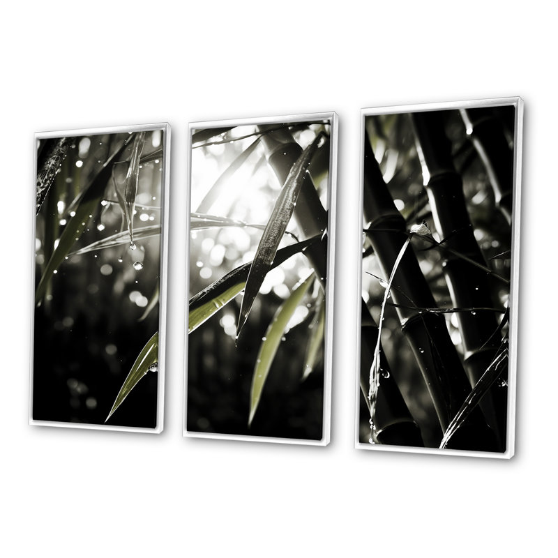 Ensemble de photos murales en bambou noir et blanc, Cadre flottant blanc, H 28 po x l 36 po x P 1 po