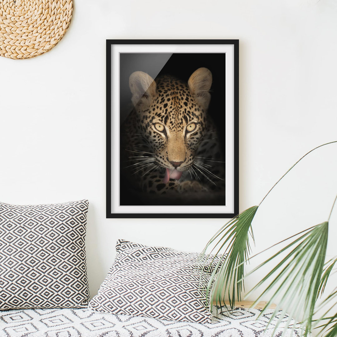 Gerahmtes Poster Resting Leopard