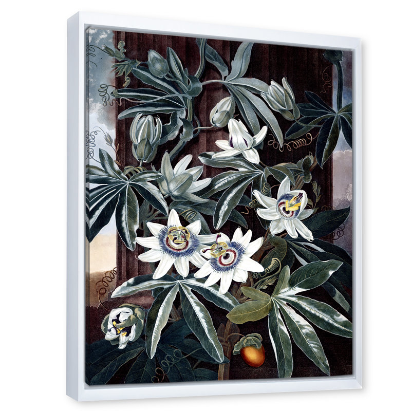 Fleurs rétro I - reproduction sur toile, H 40 po x l 30 po x P 1 po, Toile blanche encadrée