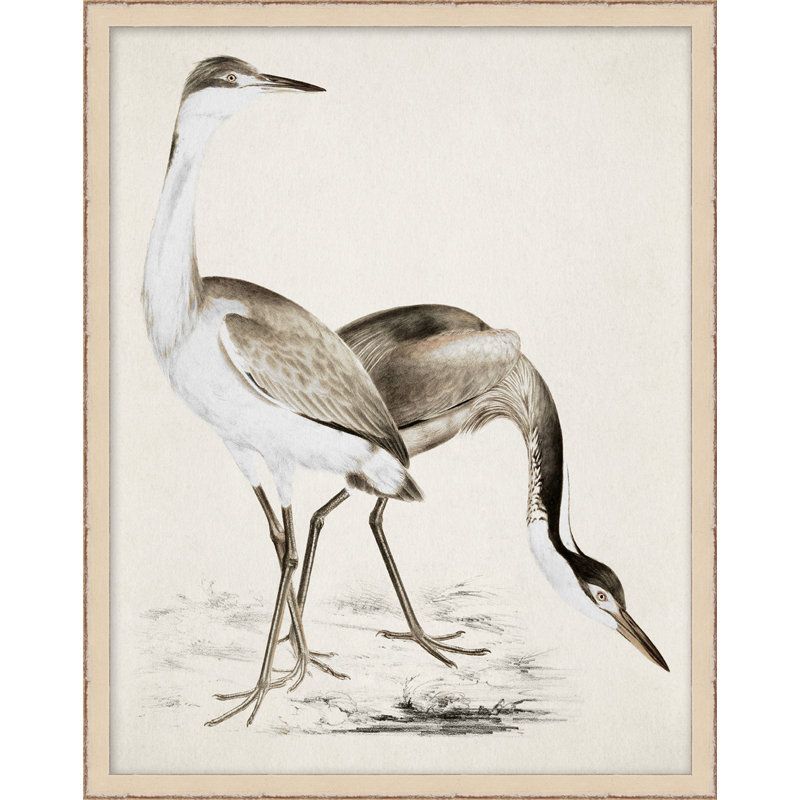 Coastal Bird Impression 1 Print