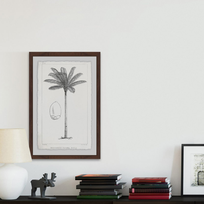 Amazon Palm Tree - Reproduction d'art graphique sur papier encadré, H 18 po x l 12 po