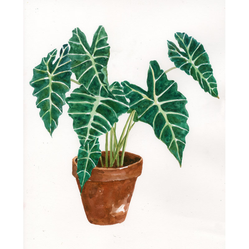 House Plant - Painting Print, 91cm H x 61cm W, Black Floater Framed