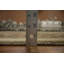 Exquisite Traditional Agra Oriental Area Rug 8x10