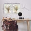 «Stupell Industries Eucalyptus Jar Bouquets», ensemble de 2 giclées par Steve Hunziker-2021661289-2021661301