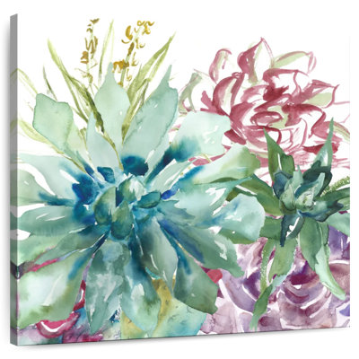 Aquarelle Harnek Succulent Garden II