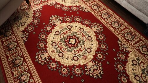 Well Woven Persa Nima Traditional Medallion Persian Red Rug & Reviews