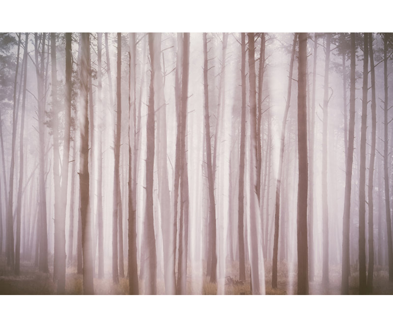 Wrapped Canvas Print, 60.96 cm H x 91.44 cm W