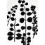 Black Gray 1 Print by Hable Construction-584039761