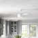 Perceus 42'' Ceiling Fan with LED Lights