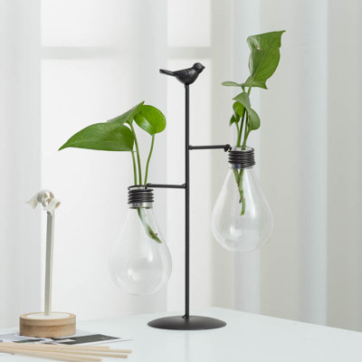 Jorome Glass Terrarium