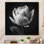 Gros plan sur une tulipe noire et blanche I - reproduction sur toile