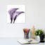 Calla Lilies II by Albert Koetsier - Print on Canvas-1002608901-1013585193