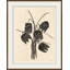 Poplar Painting by Susan Hable