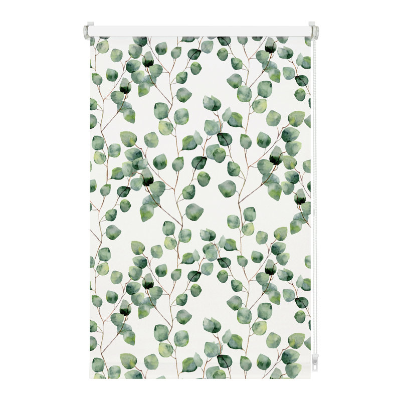 Isabella Blackout Roll-Up Shade, 150 cm L x 120 cm W
