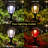Hernandez Outdoor Solar LED Traditional Lantern Head