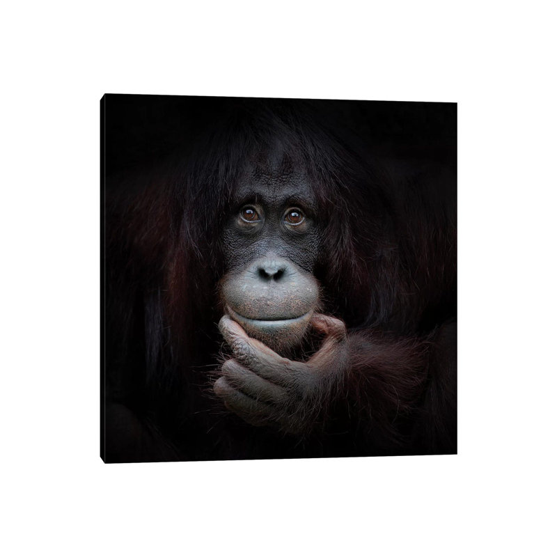 The Mirror Image by Antje Wenner-Braun - Print on Canvas, Wrapped Canvas, 93.98 cm H x 93.98 cm W x 3.175 cm D
