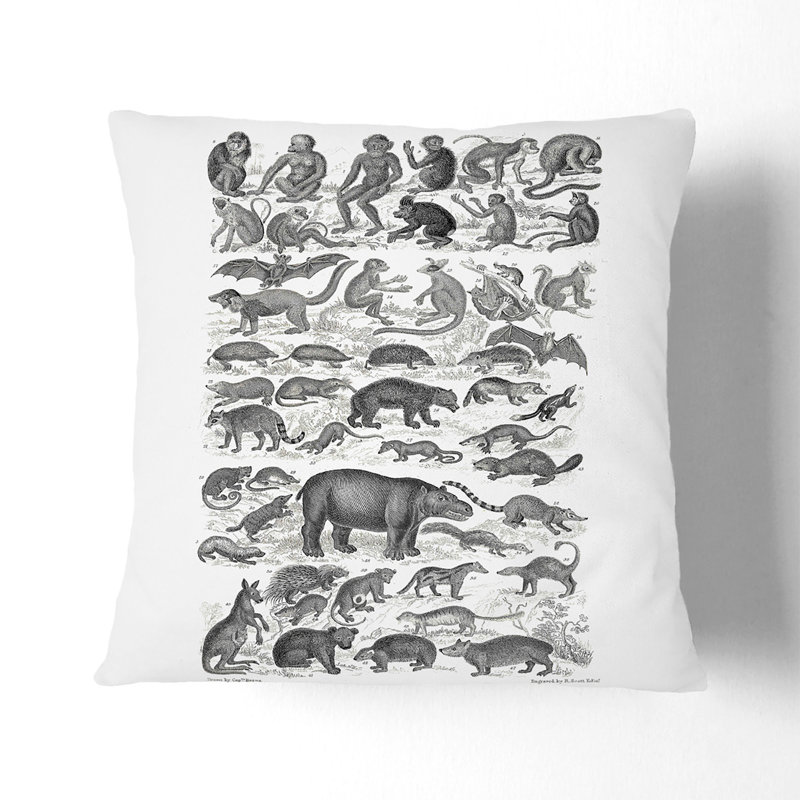 Square Cushion, 40cm H x 40cm W x 15cm D