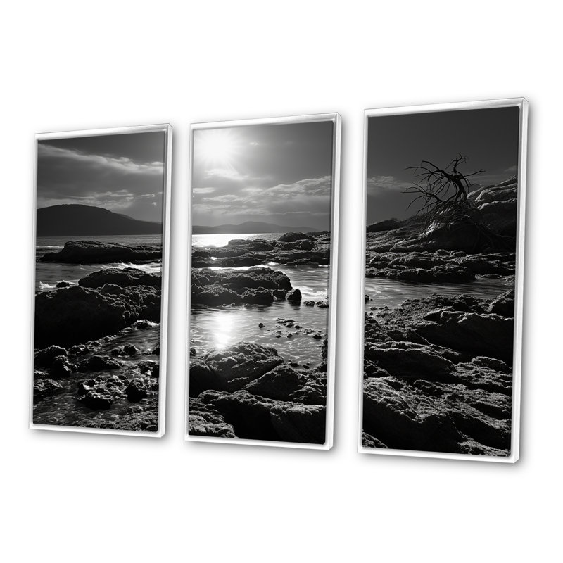 «Black and White Rocky Beach - Coastal Coral Under Water», ensemble d'art mural, Cadre flottant blanc