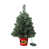 Classic Greenery with Multi-Color Lights is out of stock
